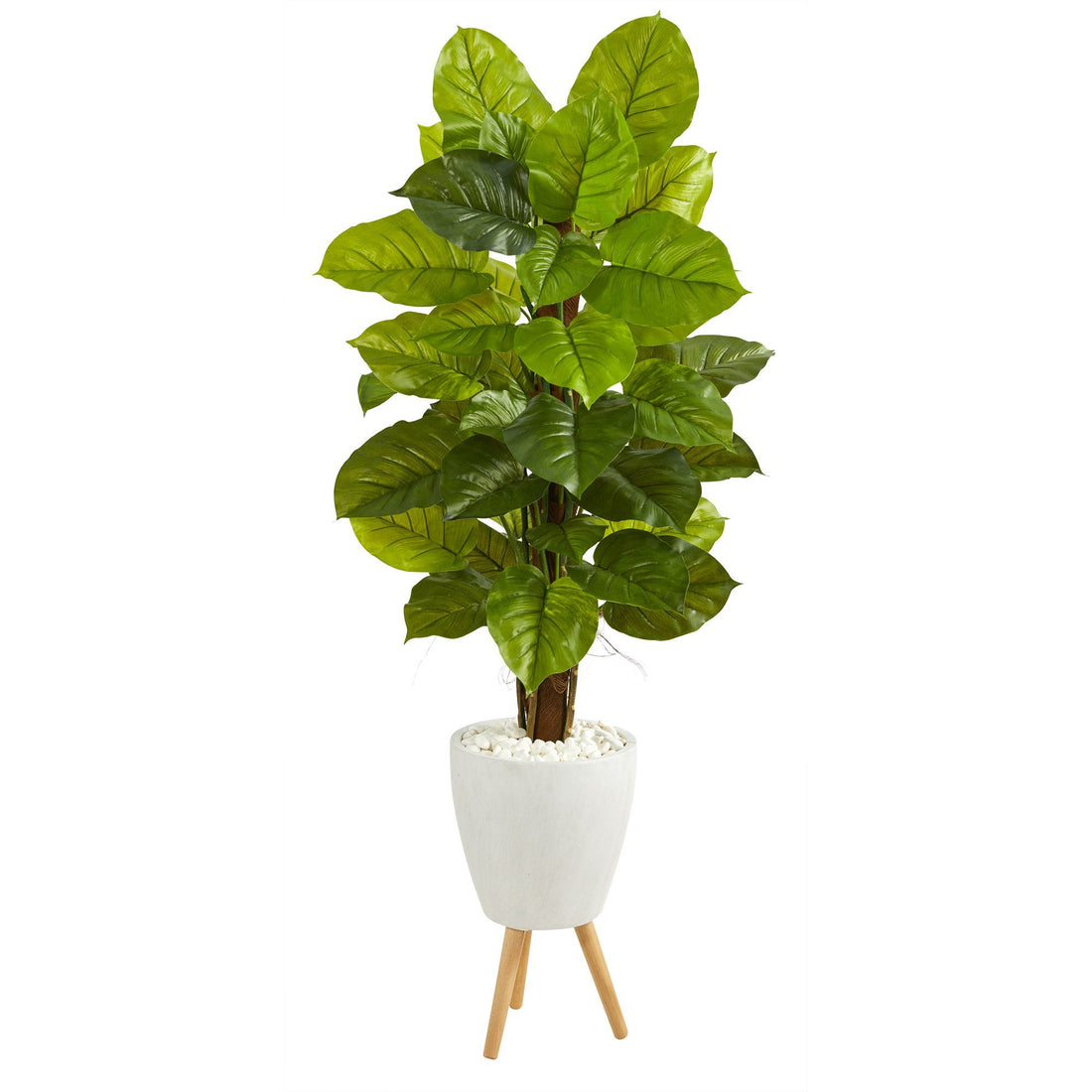how tall does a planter need to be for philodendron 60” Large Leaf Philodendron Artificial Plant in White Planter with Stand (Real Touch)