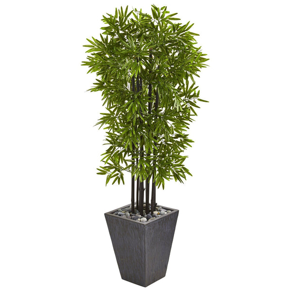 61” Bamboo Artificial Tree with Black Trunks in Slate Planter (Indoor/Outdoor)