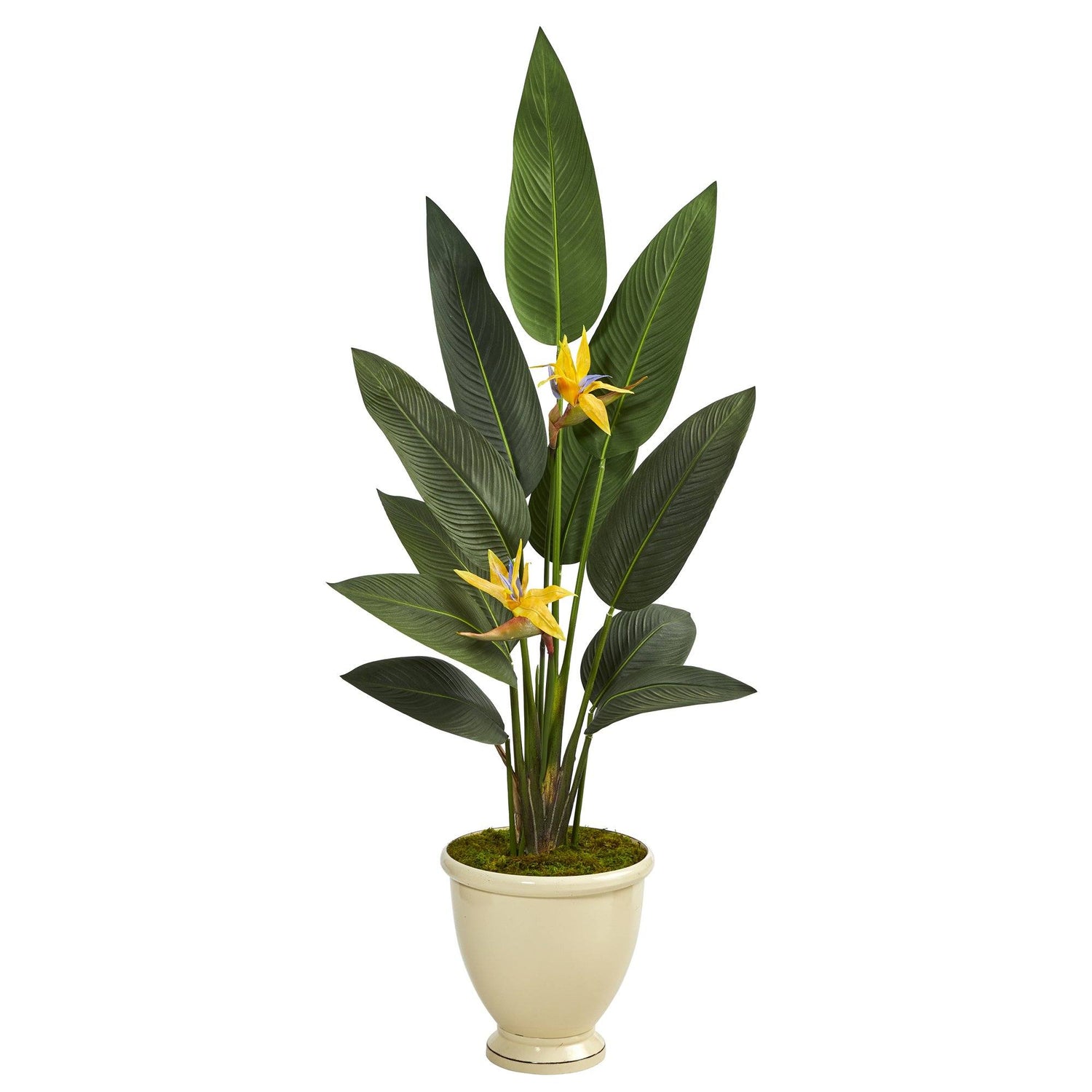 61” Bird of Paradise Artificial Plant in Decorative Urn (Real Touch)