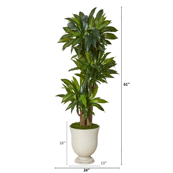 61” Corn Stalk Dracaena Artificial Plant in Decorative Urn (Real Touch)