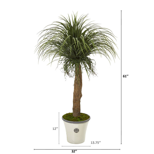 61” Pony Tail Palm Artificial Plant in Decorative Planter