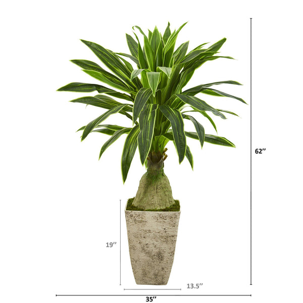 62” Dracaena Artificial Plant in Country White Planter