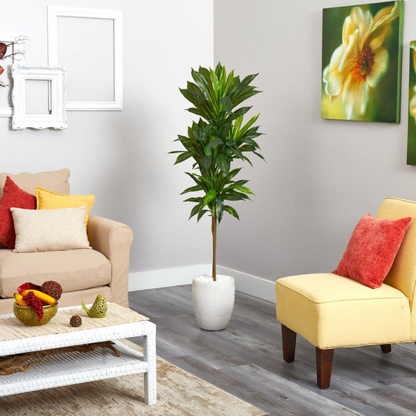 62” Dracaena Artificial Plant in White Planter (Real Touch)