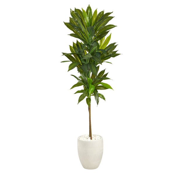 62” Dracaena Artificial Plant in White Planter (Real Touch)