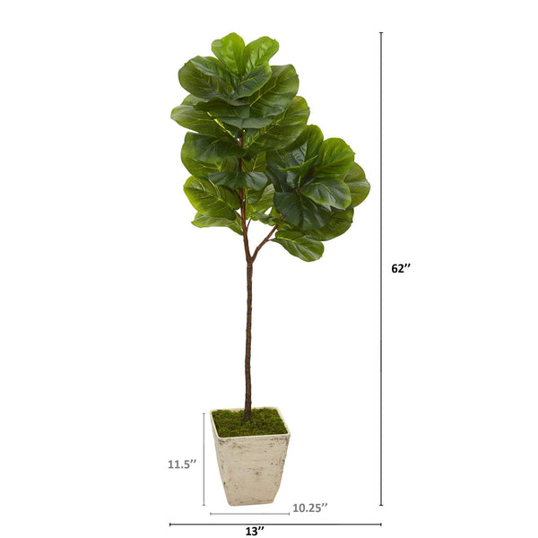 62” Fiddle Leaf Artificial Tree in Country White Planter