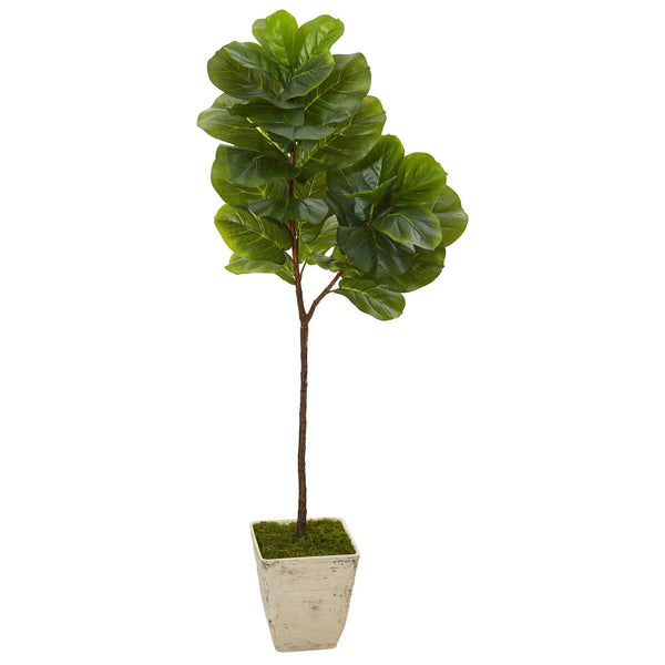 62” Fiddle Leaf Artificial Tree in Country White Planter