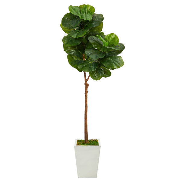 62” Fiddle Leaf Artificial Tree in White Metal Planter