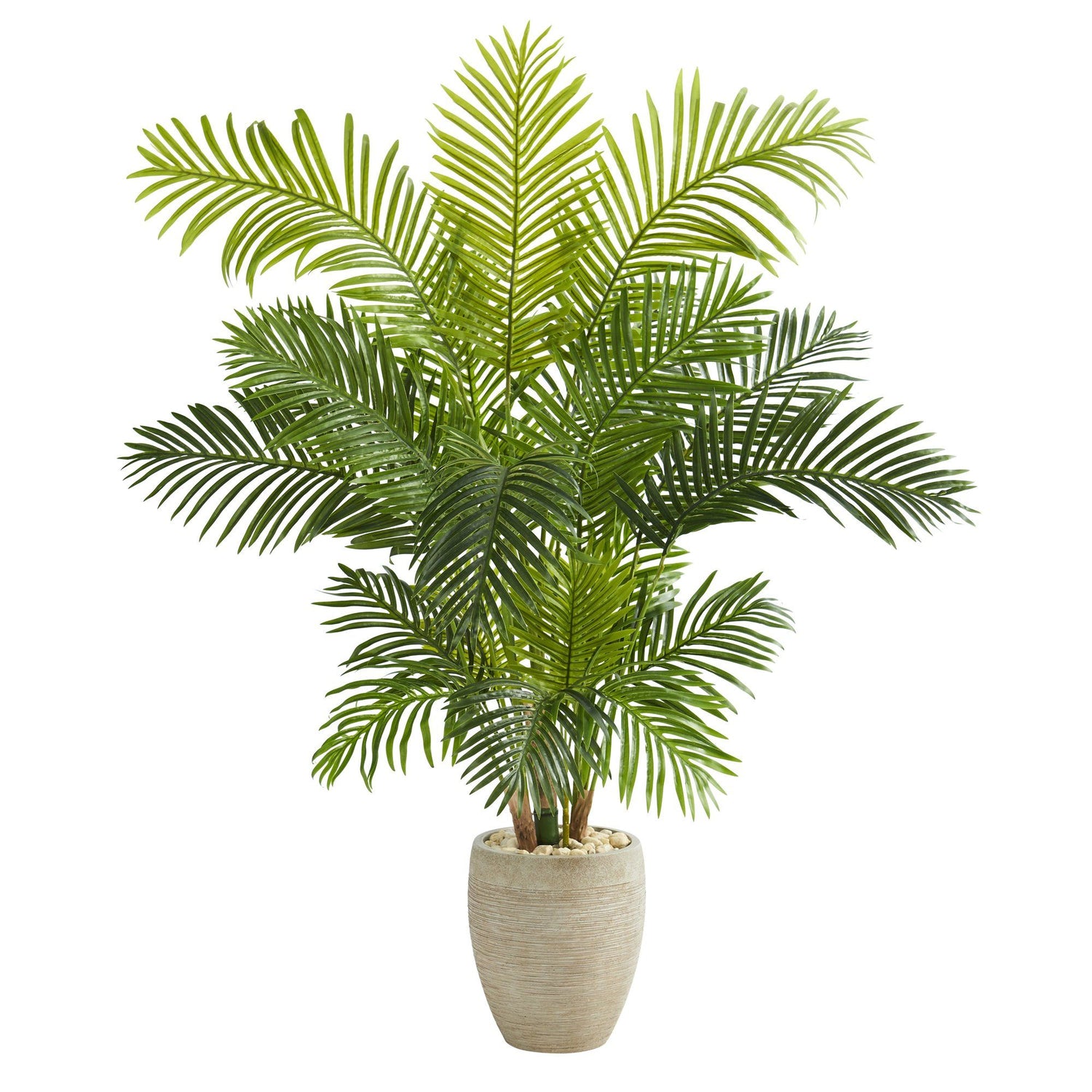 62” Hawaii Palm Artificial Tree in Sand Colored Planter