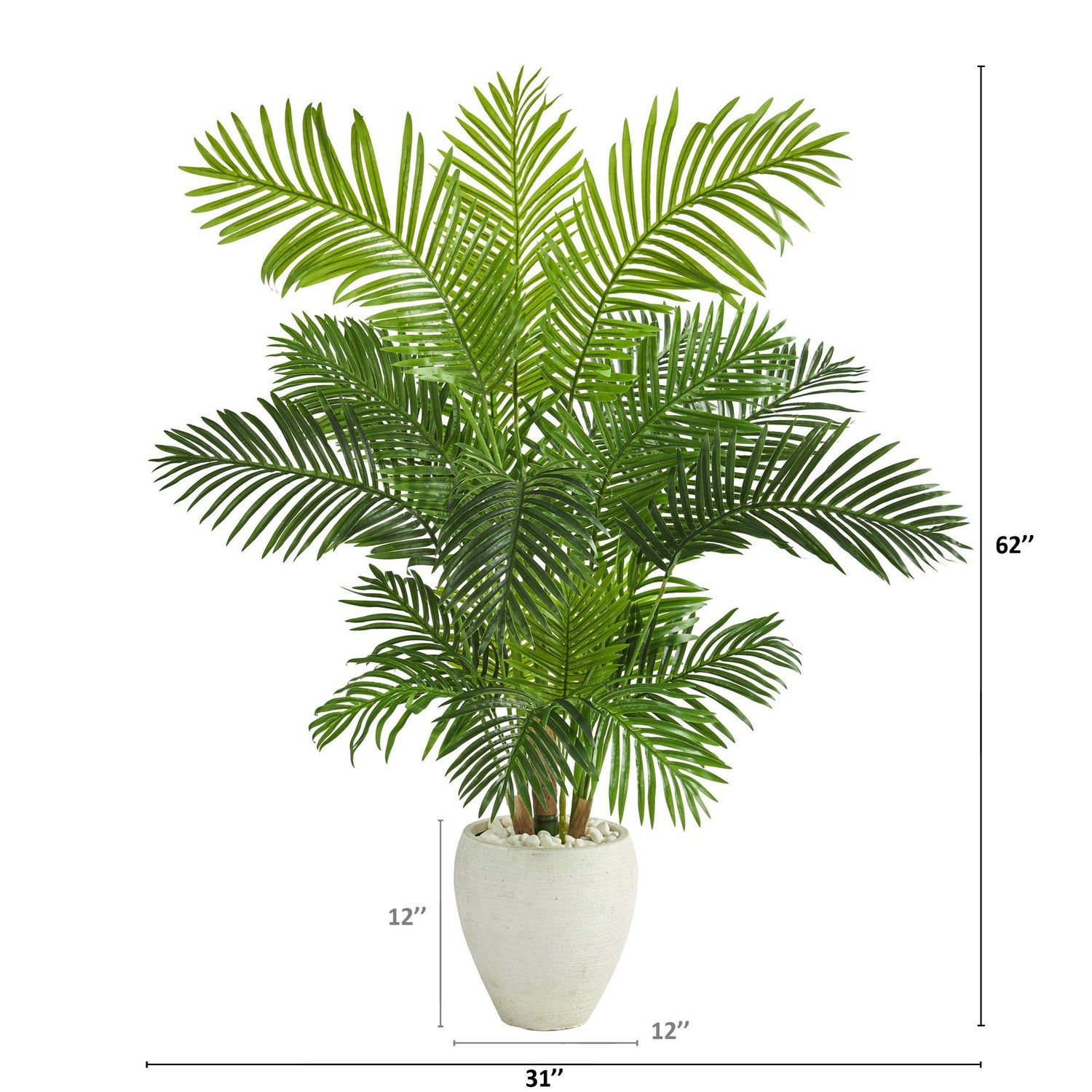 62” Hawaii Palm Artificial Tree in White Planter