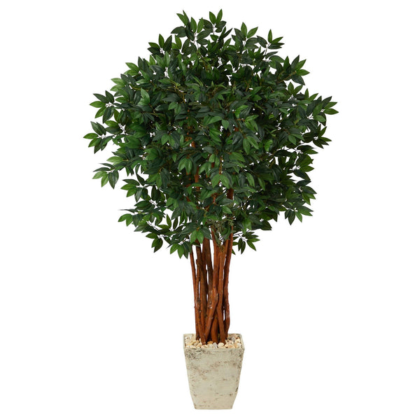 62” Lychee Artificial Tree in Country White Planter