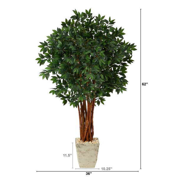 62” Lychee Artificial Tree in Country White Planter