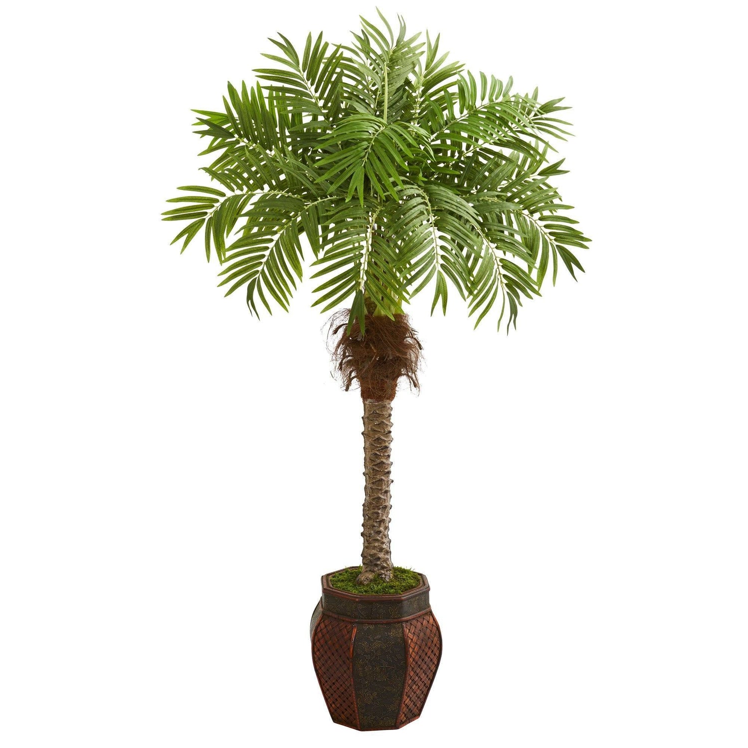 62” Robellini Palm Artificial Tree in Decorative Planter