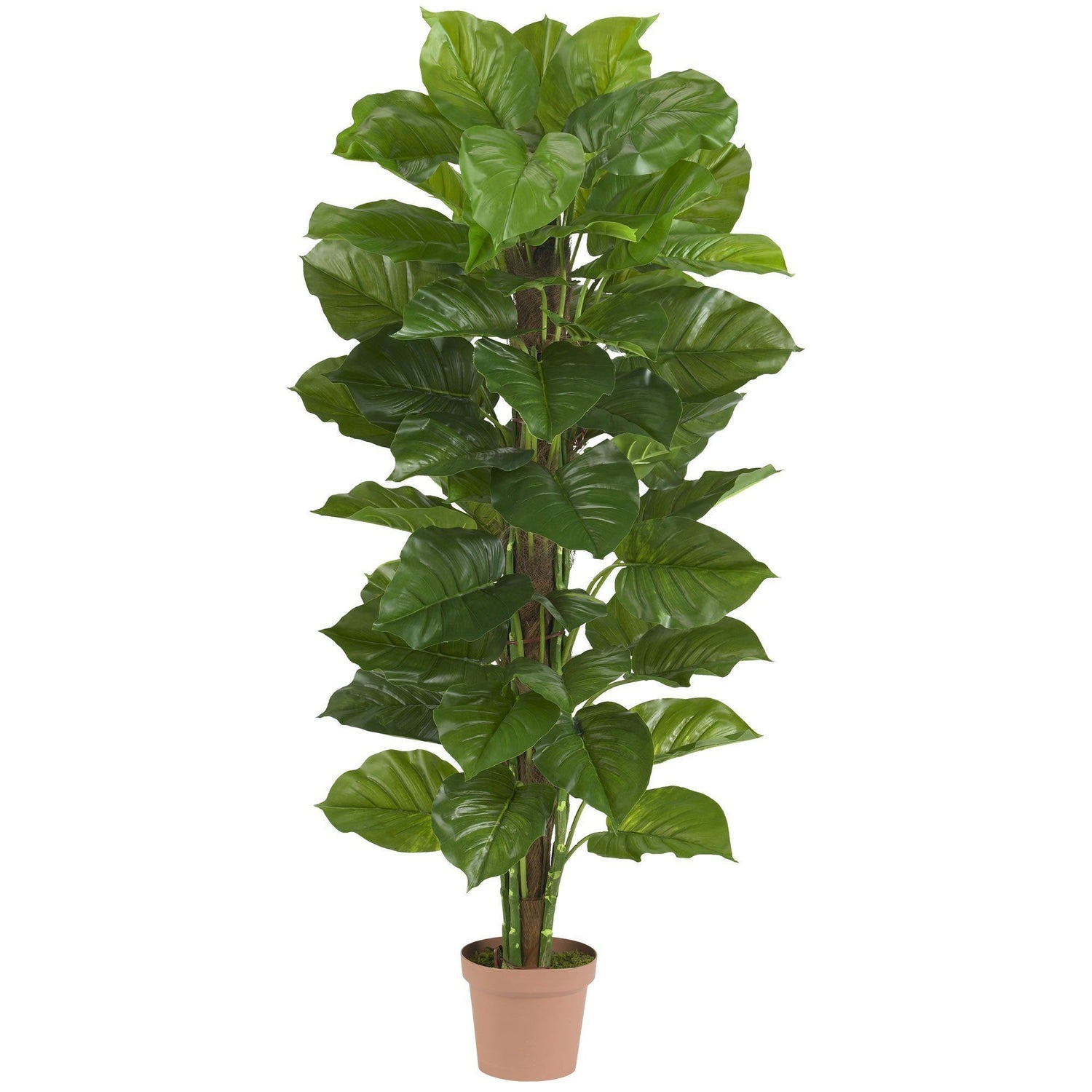 63" Artificial Large Leaf Philodendron Silk Plant (Real Touch)"