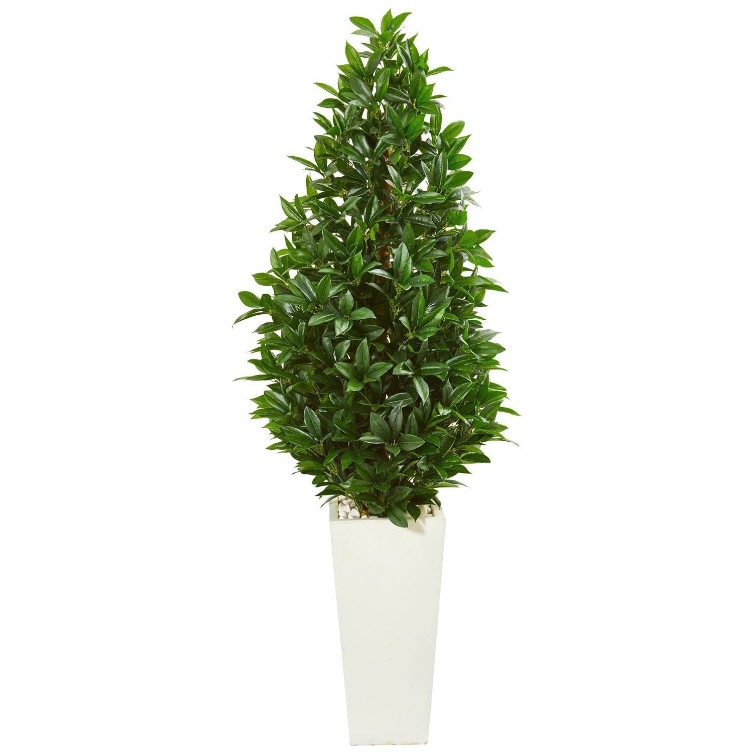 63” Bay Leaf Cone Topiary Artificial Tree in White Planter (Indoor/Outdoor)