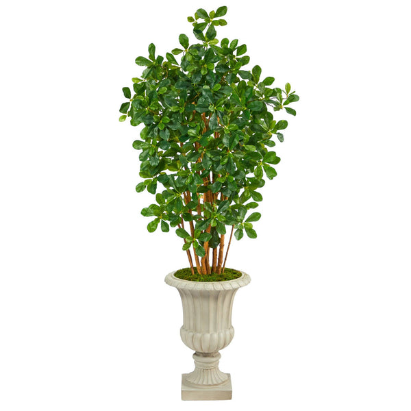 63” Black Olive Artificial Tree in Sand Finished Urn