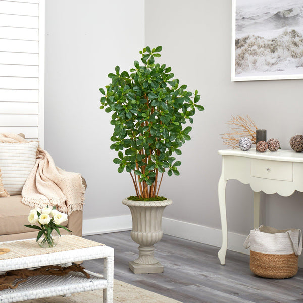 63” Black Olive Artificial Tree in Sand Finished Urn
