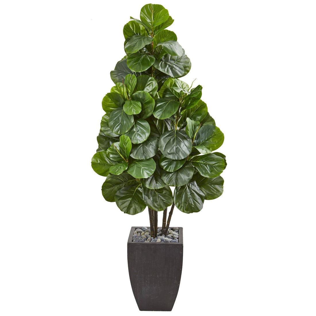 fiddle leaf fig dark green leaves 63' Fiddle Leaf Fig Artificial Tree in Black Planter