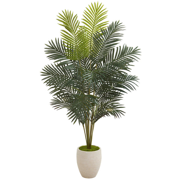 63” Paradise Palm Artificial Plant in Sand Colored Planter
