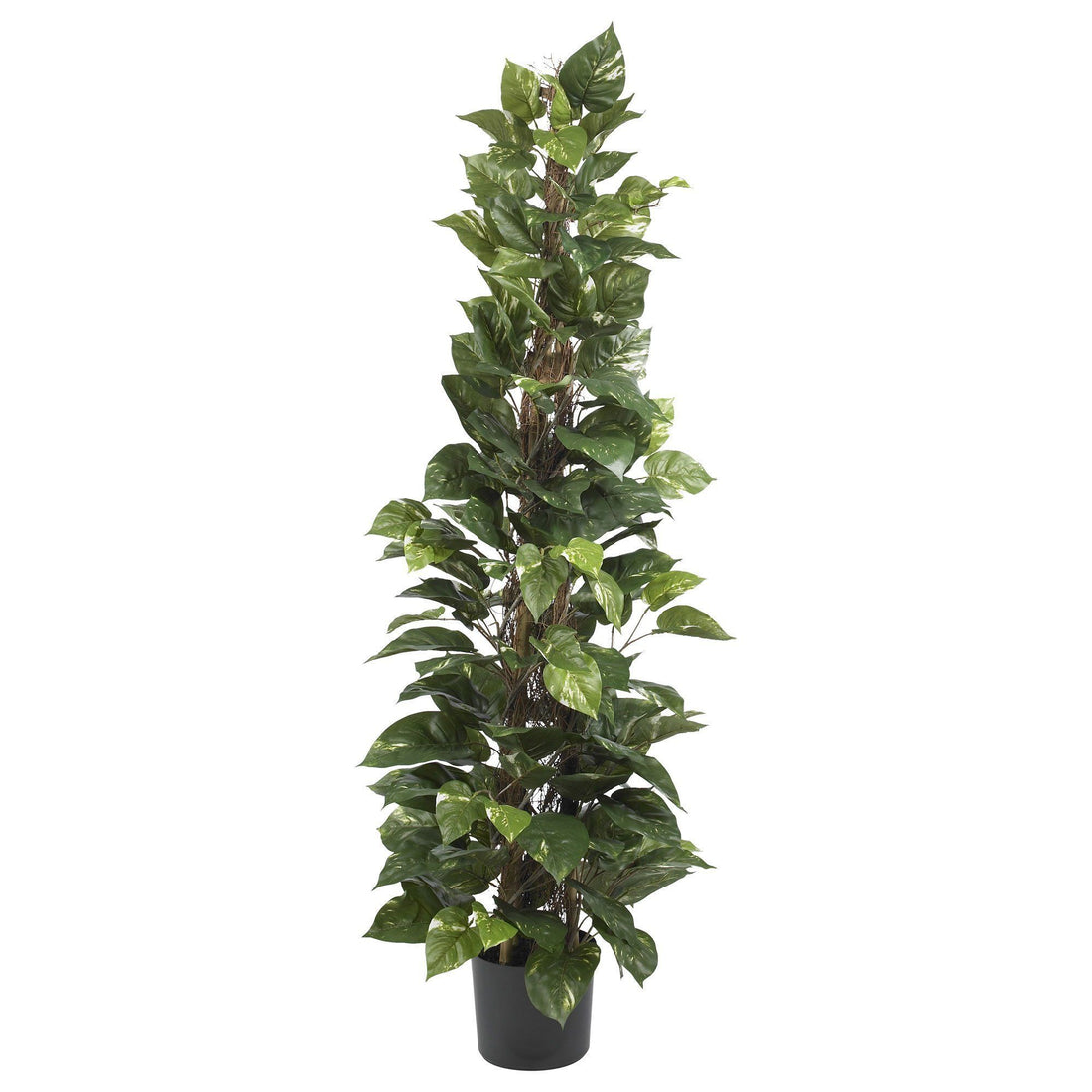 silk pothos plant 63" Pothos Climbing Silk Plant"