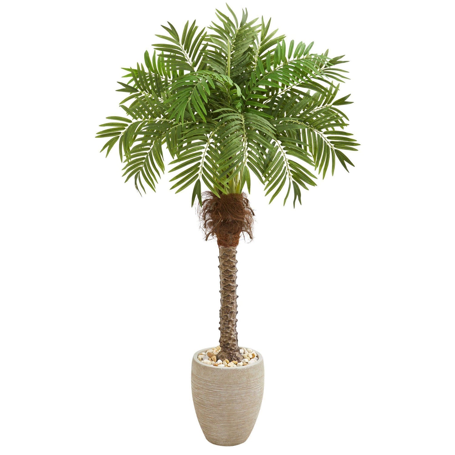 63” Robellini Palm Artificial Tree in Sandstone Planter