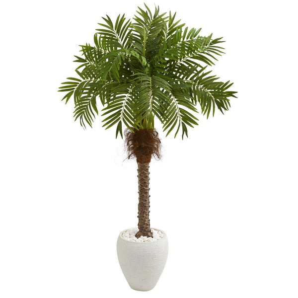 63” Robellini Palm Artificial Tree in White Planter