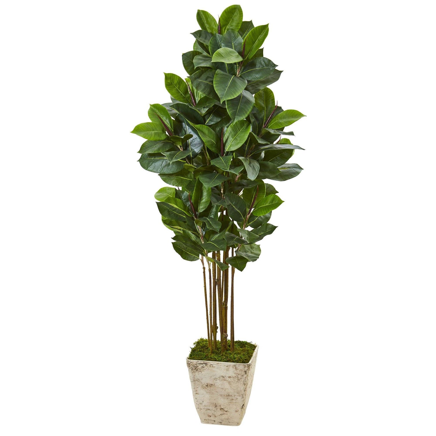rubber tree country 63” Rubber Leaf Artificial Tree in Country White Planter