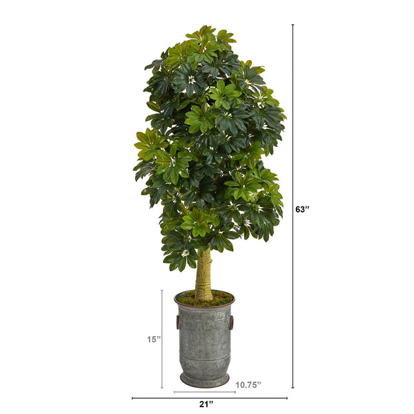 63” Schefflera Artificial Tree in Vintage Metal Planter (Real Touch)