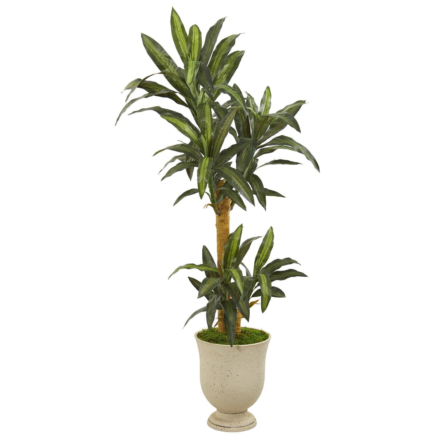 63” Yucca Artificial Plant in Decorative Urn