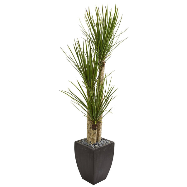 63” Yucca Artificial Tree in Black Planter