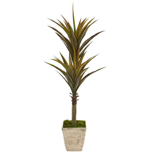 63” Yucca Artificial Tree in Country White Planter
