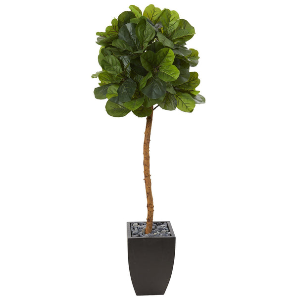 64” Fiddle Leaf Artificial Tree in Black Planter (Real Touch)