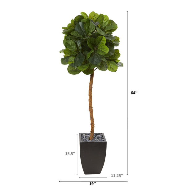 64” Fiddle Leaf Artificial Tree in Black Planter (Real Touch)