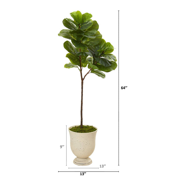64” Fiddle Leaf Artificial Tree in Decorative Urn (Real Touch)