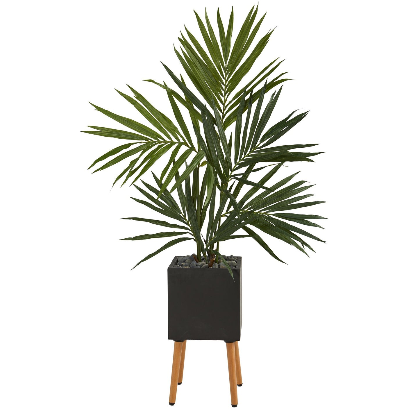 64” Kentia Artificial Palm Tree in Black Planter with Stand Nearly Natural