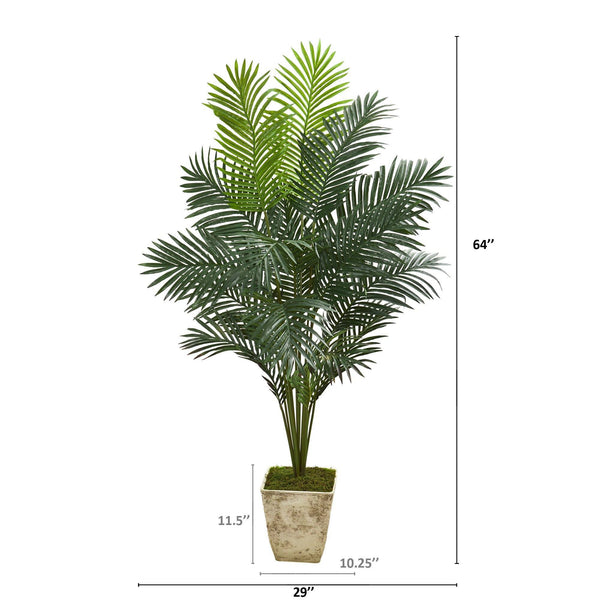64” Paradise Palm Artificial Plant in Country White Planter