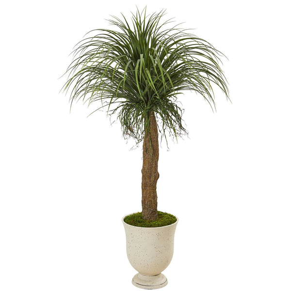 64” Pony Tail Palm Artificial Plant in Decorative Urn