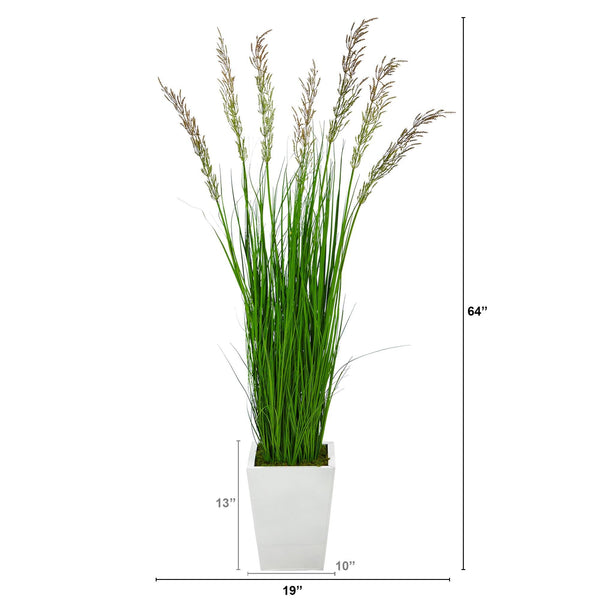 64” Wheat Grass Artificial Plant in White Metal Planter