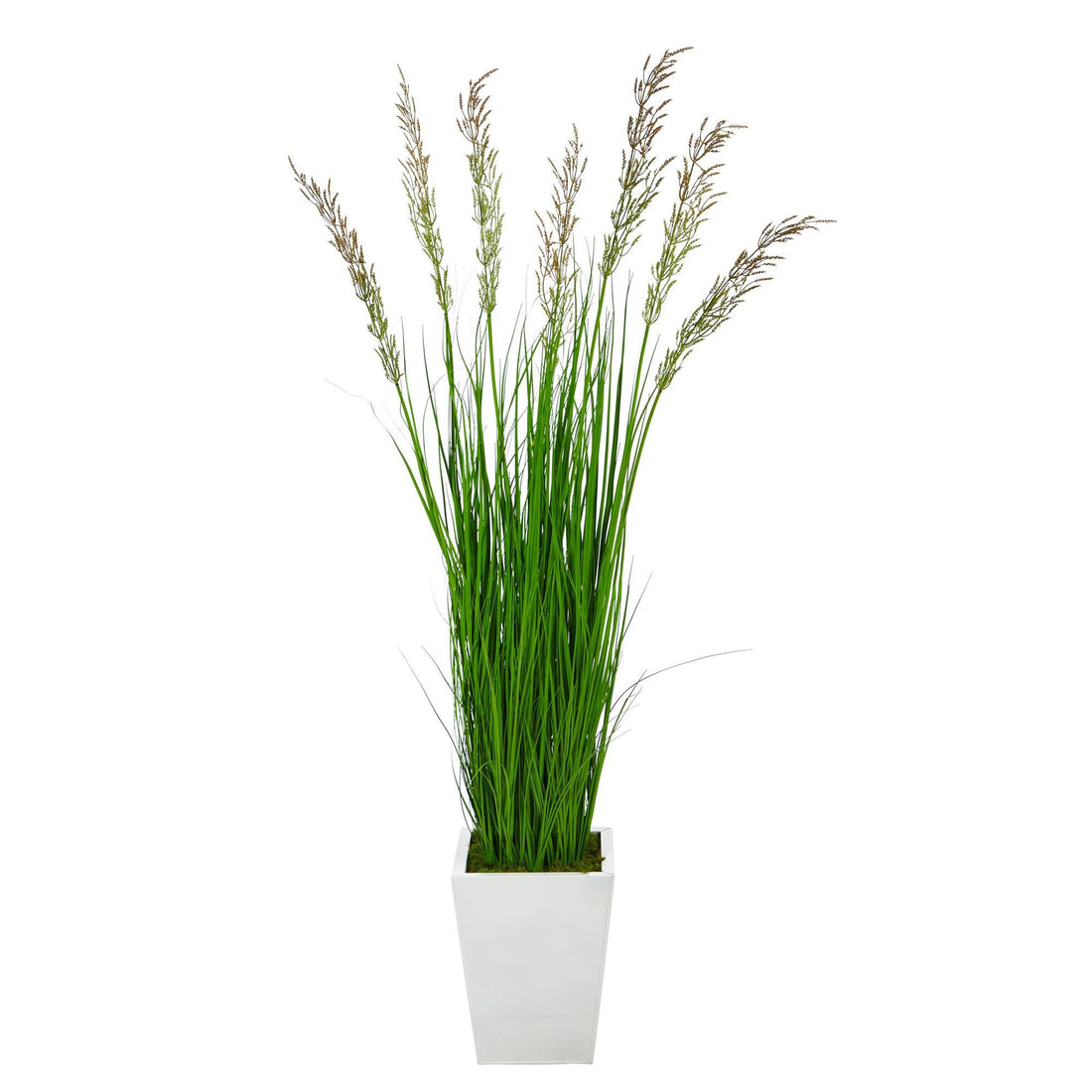 wheat grass indoor plant 64” Wheat Grass Artificial Plant in White Metal Planter