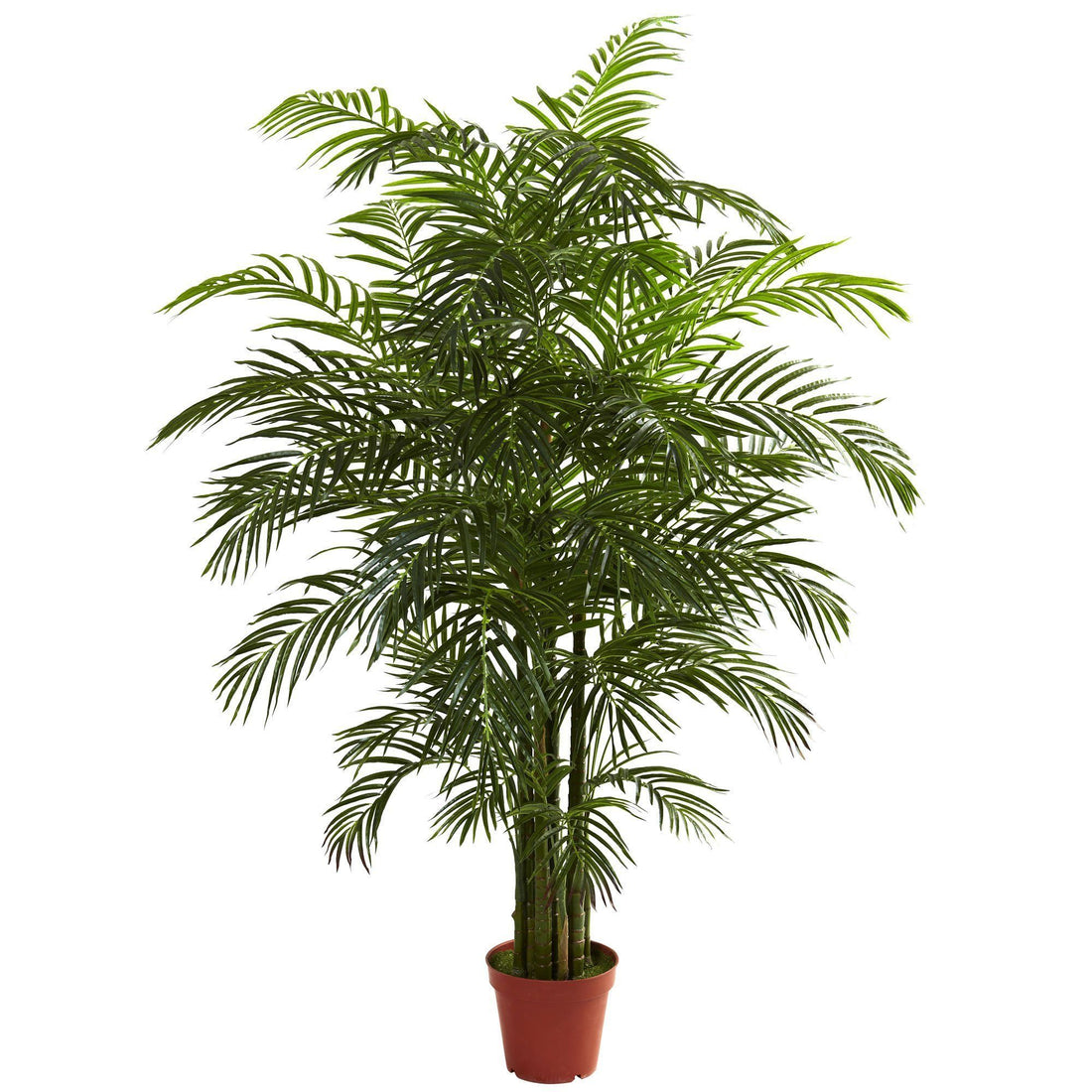 areca palm sun Nearly Natural 6.5 ft. Areca Palm UV Resistant