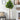6.5’ Artificial Fiddle Leaf Tree (No Pot)