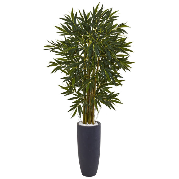 6.5’ Bamboo Tree in Gray Cylinder Planter