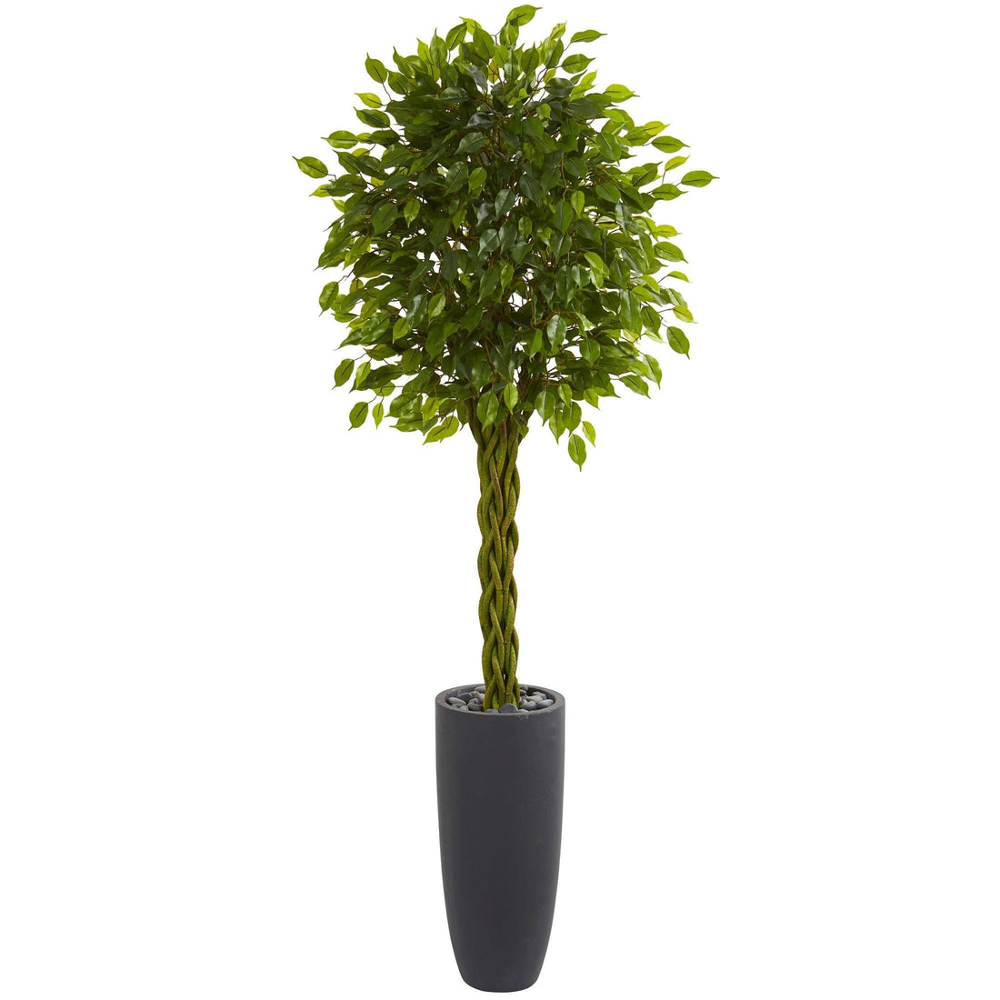 indoor plant braided trunk 6.5' Braided Ficus Artificial Tree in Cylinder Planter UV Resistant (Indoor/Outdoor)