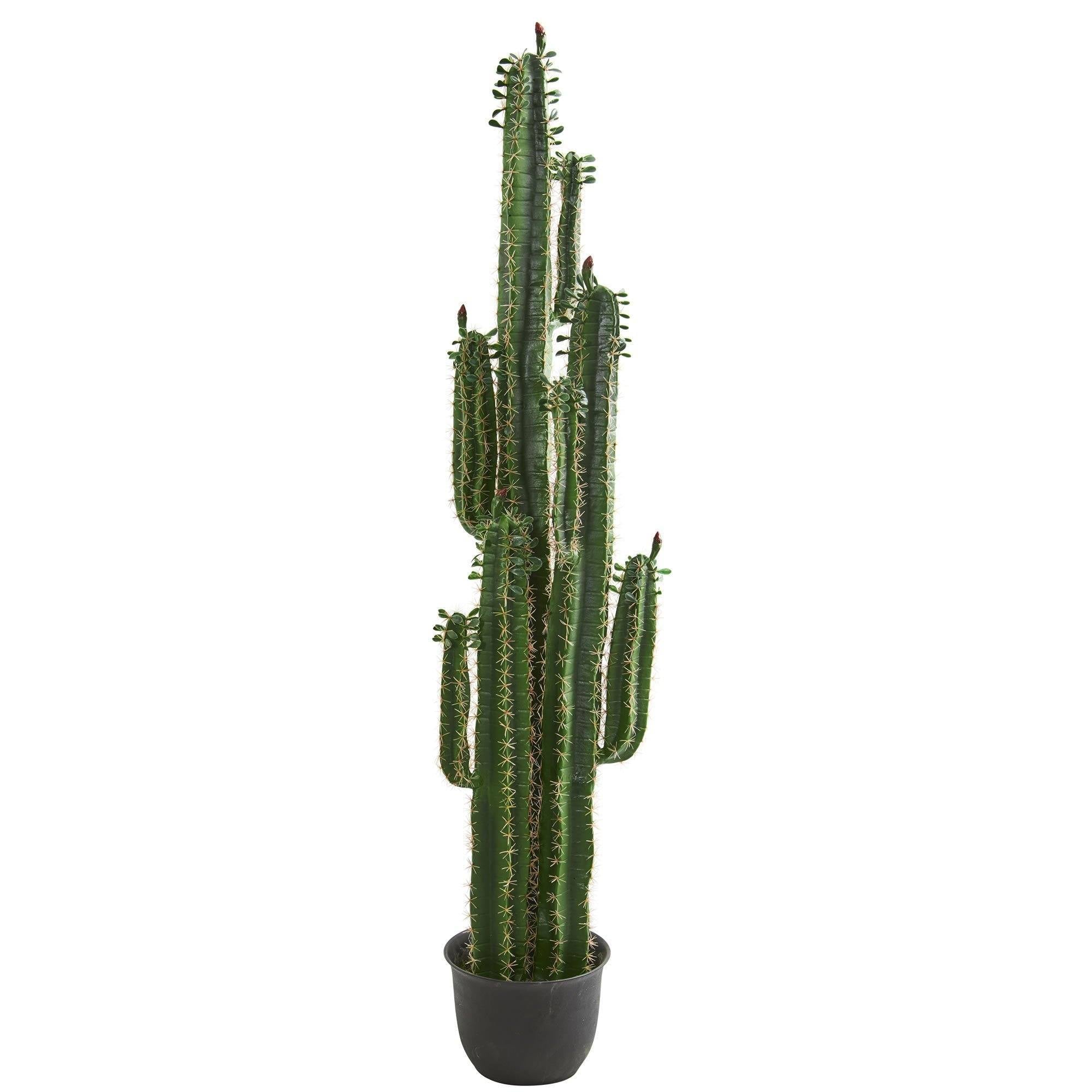 6.5' Cactus Artificial Plant | Nearly Natural