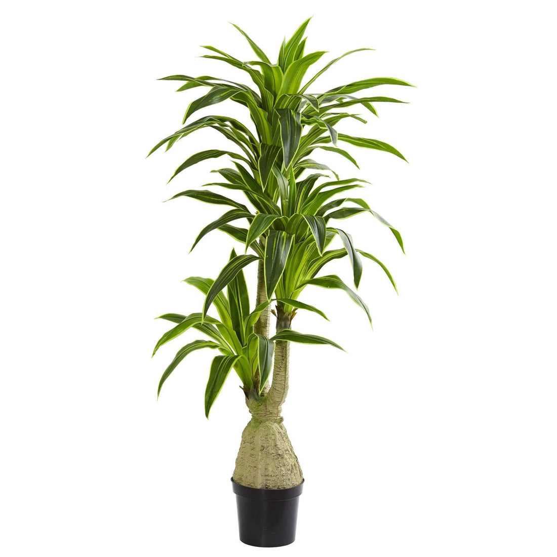 dracaena artificial light Dracaena Artificial Plant