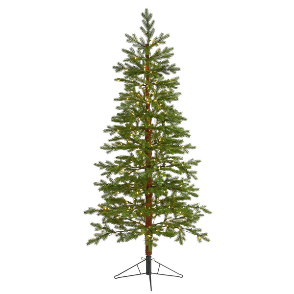6.5' Fairbanks Fir Artificial Christmas Tree with 250 Clear Warm (Multifunction) LED Lights and 208 Bendable Branches