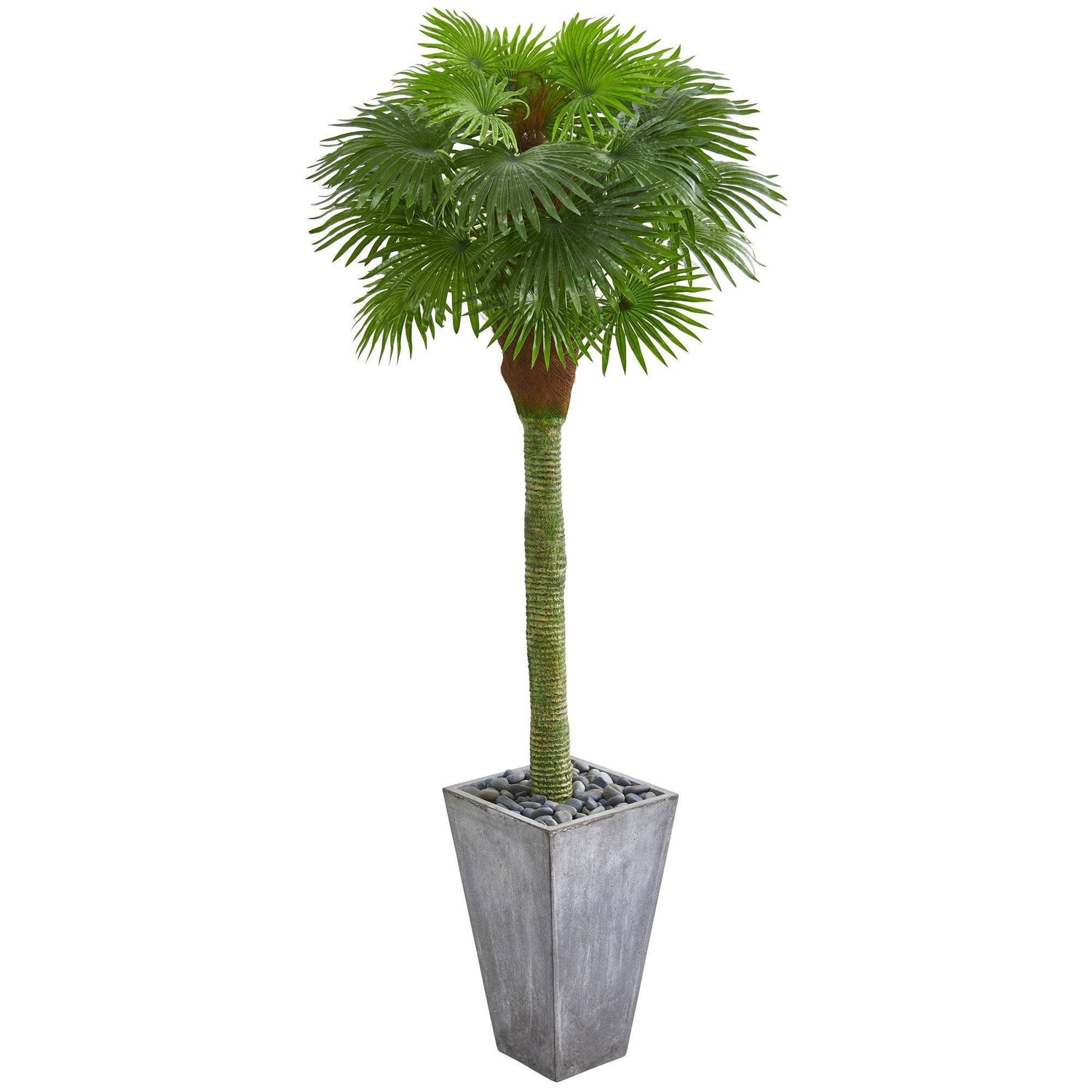 6.5’ Fan Palm Artificial Tree in Cement Planter (Indoor/Outdoor)