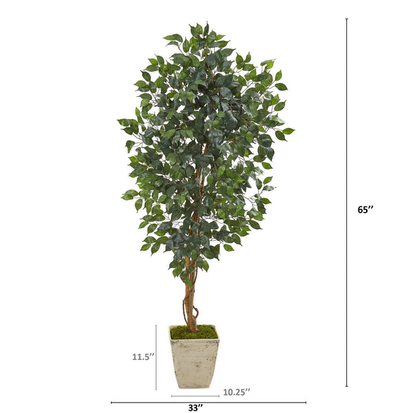 65” Ficus Artificial Tree in Country White Planter