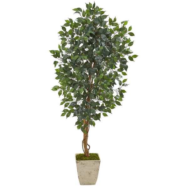 65” Ficus Artificial Tree in Country White Planter