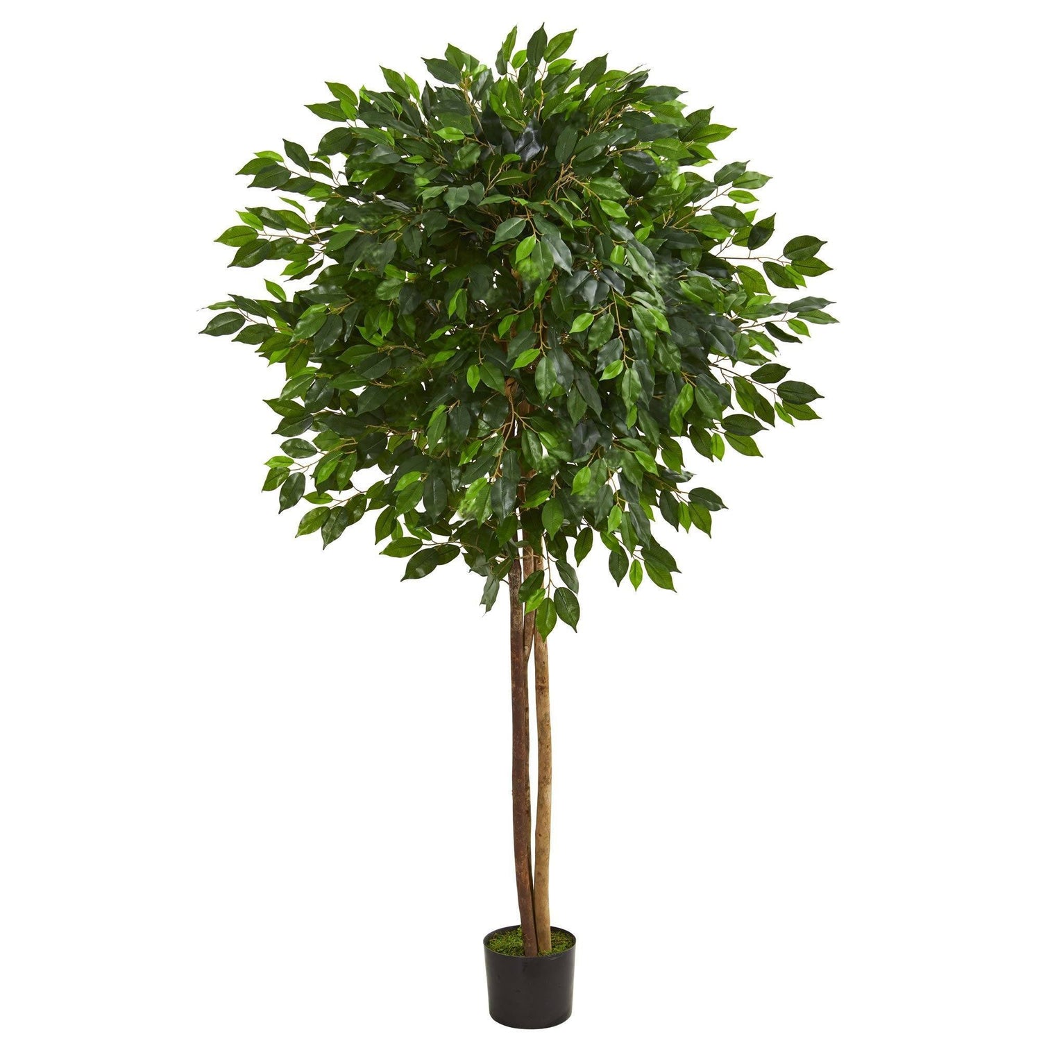 6.5’ Ficus Artificial Tree