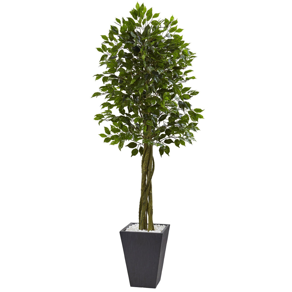 6' Variegated Ficus Tree Nearly Natural Trees to plant, Potted trees, Faux tree
